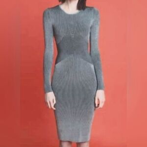 RONNY KOBO Round Neck Bodycon Long Sleeve Knit Dress Size Large